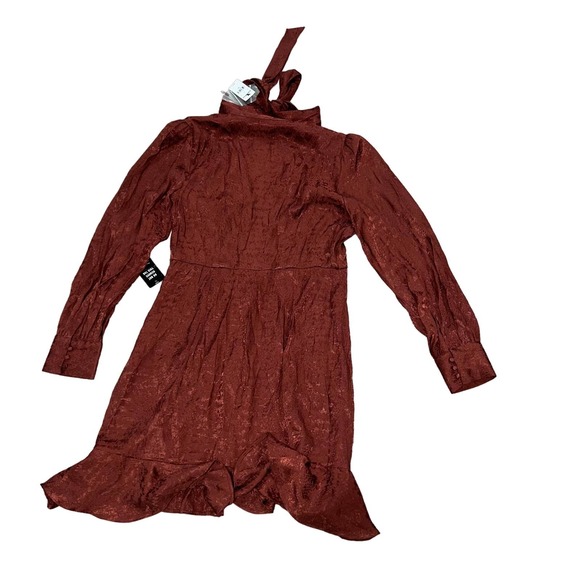 Express Rusty Ruffle Long Sleeve Dress Size Medium - Picture 2 of 5